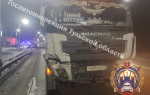 Мужчина и ребенок попали в больницу после столкновения «ГАЗели» с большегрузом в Веневском районе