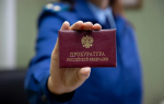 В Туле в суд направлено дело о фиктивной регистрации 13 мигрантов