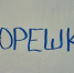 Пюрешка, сапборд и капча: РАН добавила в орфографический словарь русского языка еще 264 слова - Myslo.Ru