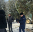Скандал с вырубкой туй в Донском дошел до прокуратуры - ИА Тульская пресса.Ru