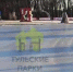 В Центральном парке Тулы начали заливать каток - ИА Тульская пресса.Ru