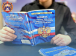Торопыгу из Богородицка оштрафовали
