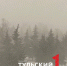 Туляков предупредили о сильной метели вечером 25 декабря - ТК Первый Тульский