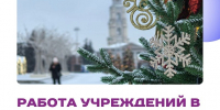 Работа учреждений в период новогодних праздников - Министерство труда и соцзащиты