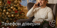 Как будет работать телефон доверия губернатора Тульской области в праздники - Молодой коммунар