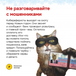 02.jpg