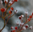 3qaIQlcIjswum3bbN7j0u3ARxliaSZCzb4UvYQ_EqjIk9iKLaps5JouWEdz2Fz2I3jSUgI9vKQuzJzDWEMrfyN9E - Управление культуры и туризма