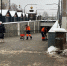 В Туле усилили уборку снега после объезда городских территорий - ИА Тульская служба новостей