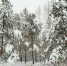 Туман и гололед ожидают туляков 8 января - Молодой коммунар