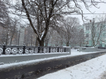 бесп.jpg