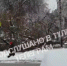 В Туле под тяжестью снега два дерева рухнули на автомобили - ТК Первый Тульский