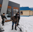 Число снежных волонтеров назвал Дмитрий Миляев - Молодой коммунар