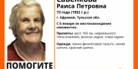 Пропавшую 73-летнюю женщину разыскивают в Ефремове - Молодой коммунар