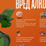 Неделя профилактики злоупотребления алкоголем в новогодние праздники (29.12.2025- 11.01.2026) - Министерство сельского хозяйства, природных ресурсов и экологии