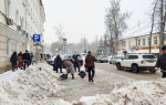 Более 16,5 тысяч жителей Тульской области приняли участие в «Снежном субботнике»