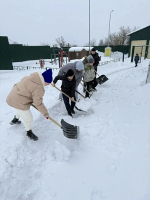 Более 16,5 тысяч жителей Тульской области приняли участие в «Снежном субботнике»