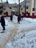 Более 16,5 тысяч жителей Тульской области приняли участие в «Снежном субботнике»