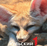 У капибары Валентина появился конкурент на пост звезды Тульского экзотариума - ТК Первый Тульский