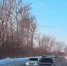 В Туле торопливый водитель едва не устроил лобовое ДТП - Myslo.Ru