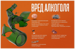 Неделя профилактики злоупотребления алкоголем в новогодние праздники (29.12.2025 - 11.01.2026)