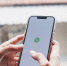 Стало известно, когда полностью заблокируют WhatsApp* - Myslo.Ru