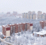 Погода в Туле 17 января: сильные морозы и утренний туман - Myslo.Ru