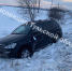 Под Тулой водитель иномарки улетел в кювет - ИА Тульская пресса.Ru