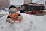 Мишку-контролера заметили на Зеленстрое в Туле