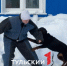 Напала стая собак: тулякам рассказали, что делать - ТК Первый Тульский