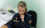 Приставы арестовали дачный участок туляка, задолжавшего налоговой почти 300 тысяч рублей