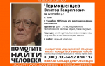 В Туле третий месяц ищут пропавшего пенсионера в синей куртке и с чёрным чемоданом