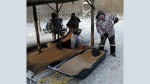 В Тульской области организовали подкормку диких животных