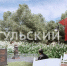 По Белеву пройдет Императорский маршрут - ТК Первый Тульский