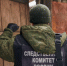 Руководитель следственного управления поставил на контроль ход расследования уголовного дела о нападении безнадзорных собак на жителей Плавска - Следственный комитет