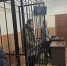 Туляка осудили на 12,5 лет за госизмену: он переводил «крипту» украинским военным - ИА Тульская пресса.Ru