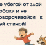 Профилактика травм, связанных с нападениями безнадзорных животных - Министерство транспорта и дорожного хозяйства