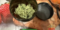 В Кимовске полицейские задержали подозреваемого в сбыте наркотиков - Молодой коммунар