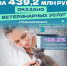 Более 439 млн рублей потратили туляки на ветеринарные услуги в 2025 году - ТК Первый Тульский