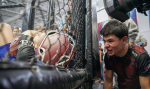 В Новомосковске прошел чемпионат по ММА