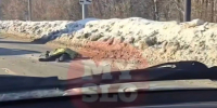 На Рязанке в районе Ледового дворца сбили пешехода - Myslo.Ru