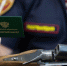 270 проверок за неделю: у туляков изъяли 26 стволов и почти 350 патронов - ИА Тульская пресса.Ru