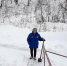 img - ЛДПР