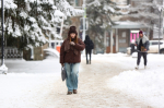 13 февраля в Туле потеплеет до +1 градуса