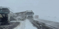 Туляк о пробке на трассе М-4 под Богородицком: За два часа не сдвинулись ни на метр - ИА Тульская служба новостей