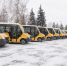 В Тульской области хотят ограничить движение школьных автобусов из-за непогоды - Myslo.Ru