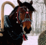 1-ZFCKpuQqtiTRSPKHGbPOe_9Xd6B7mCcZfsxB72JTwIZisSEr4QFasdH9F7264aqe4nsZCA11lgsP8T - Управление культуры и туризма