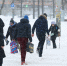 21 февраля в Туле снова пойдет снег - ТК Первый Тульский