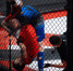 Как в Туле прошли чемпионат и первенство области по MMA. Фоторепортаж - ИА Тульская пресса.Ru