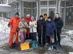 В Тульской области в «Снежном субботнике» приняли участие более 36 тысяч человек