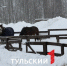 Фермер из Тулы рассказал, как будет выглядеть АПК будущего - ТК Первый Тульский